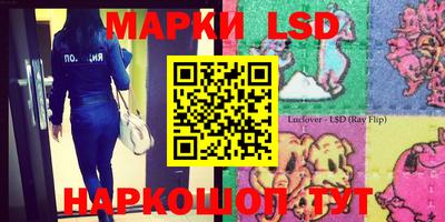мдпв Жуковский